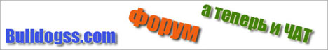 bulldogss.com чат